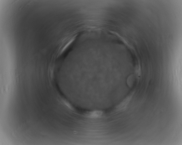 X0000114390474200910231020