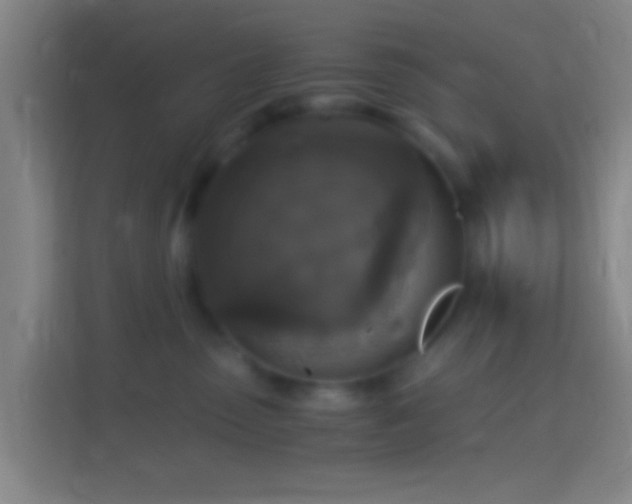 X0000114390475200910231020