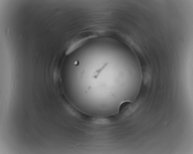 X0000114390476200910231020