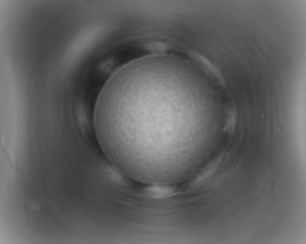 X0000114390477200910231020