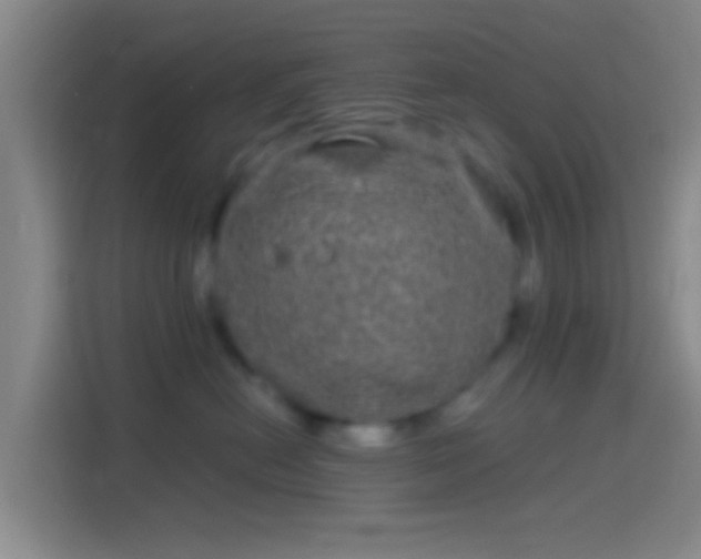 X0000114390478200910231020