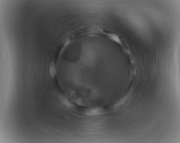X0000114390479200910231020