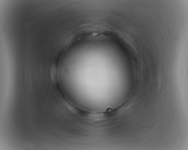 X0000114390480200910231020
