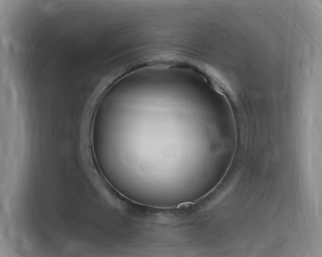 X0000114390481200910231020