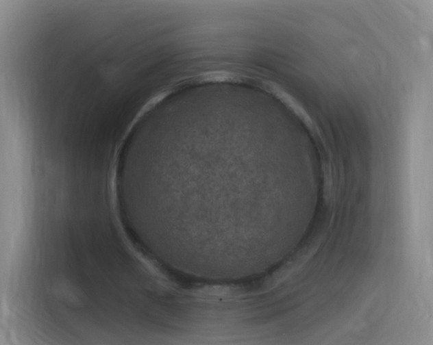 X0000114390482200910231020