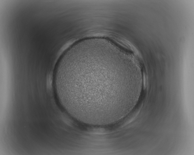X0000114390483200910231019