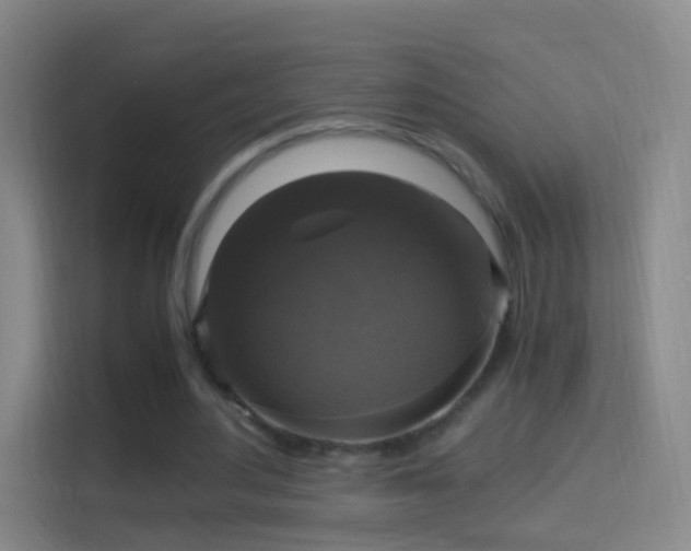 X0000114390484200910231019