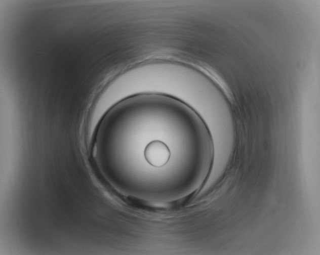 X0000114390485200910231019