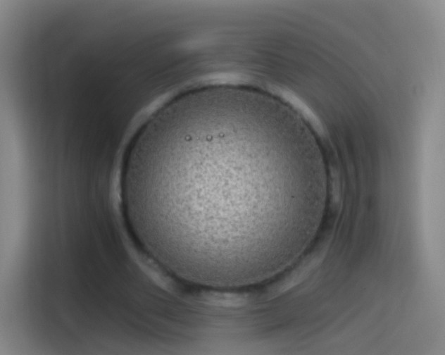 X0000114390486200910231019