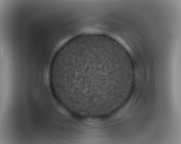 X0000114390487200910231019