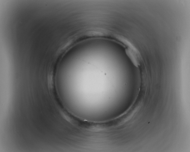 X0000114390489200910231019