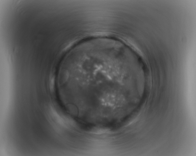 X0000114390491200910231019