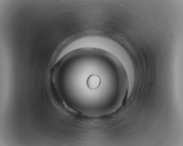 X0000114390492200910231019