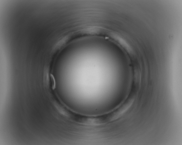 X0000114390493200910231019