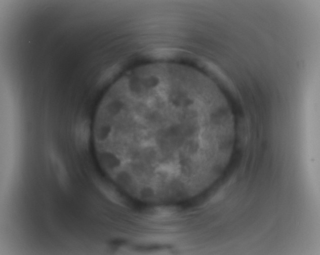 X0000114390495200910231019