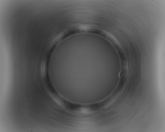 X0000114390496200910231019
