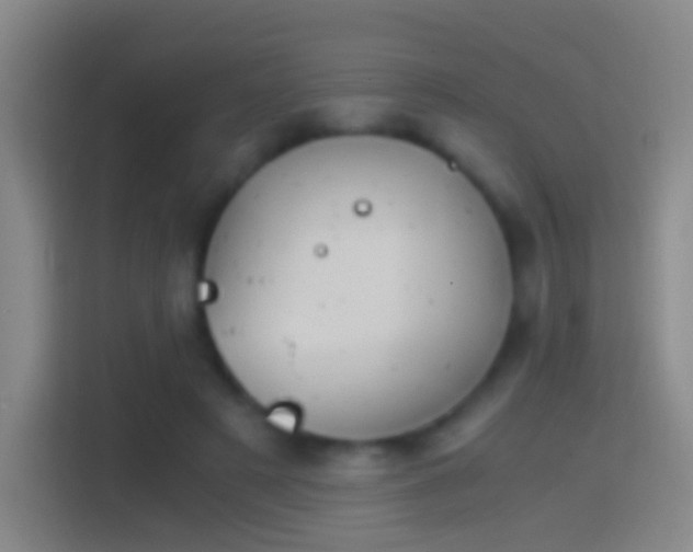 X0000114390497200910231019