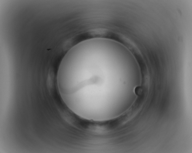 X0000114390498200910231019
