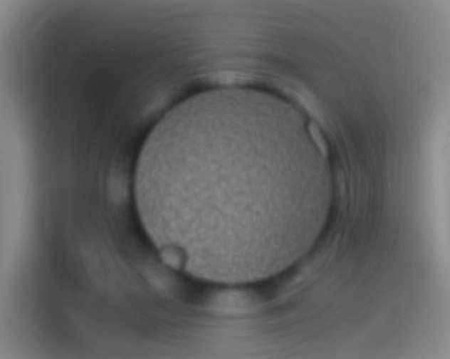 X0000114390499200910231019