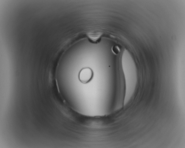 X0000114390500200910231019