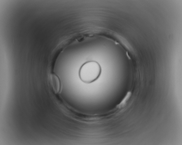 X0000114390501200910231019