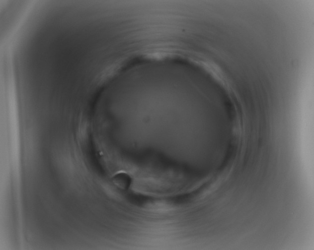 X0000114390503200910231019
