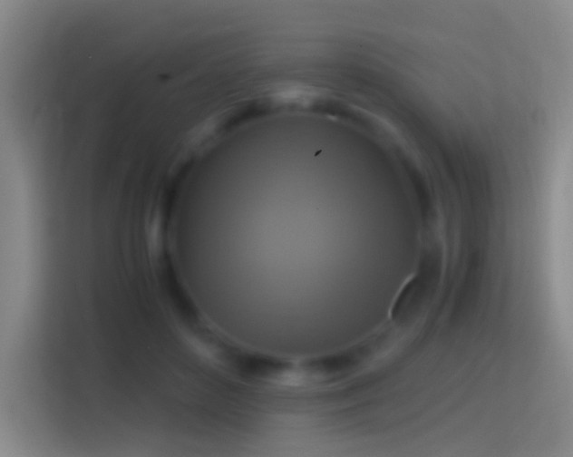 X0000114390504200910231019