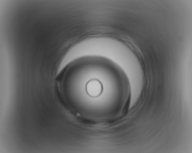 X0000114390505200910231019