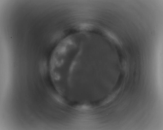 X0000114390506200910231019
