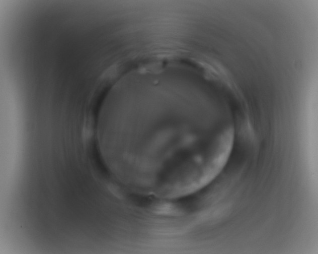 X0000114390507200910231019
