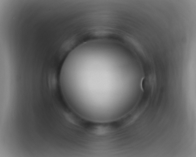 X0000114390508200910231019