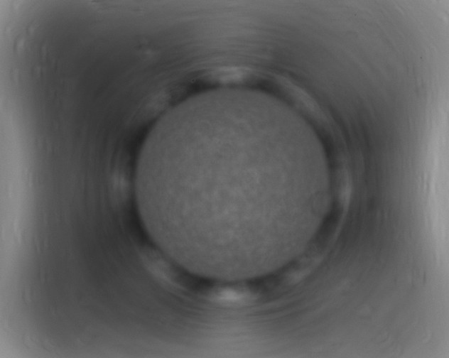 X0000114390510200910231019