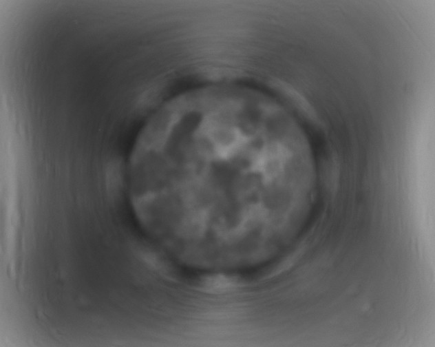 X0000114390511200910231019