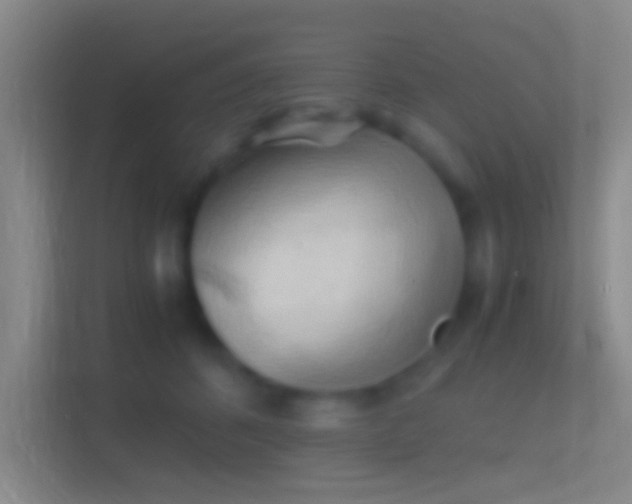 X0000114390512200910231019