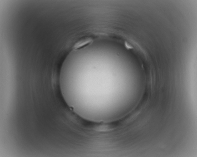 X0000114390513200910231019