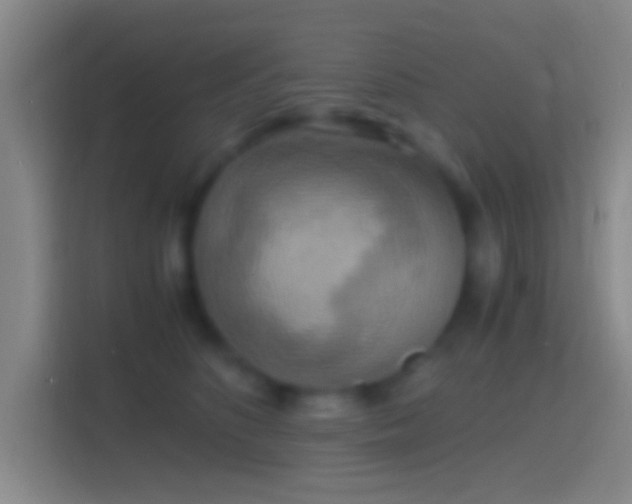 X0000114390516200910231019