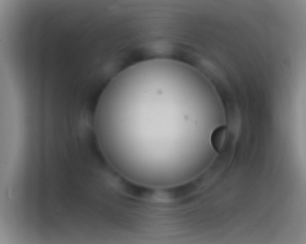 X0000114390518200910231019