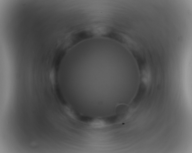 X0000114390519200910231019