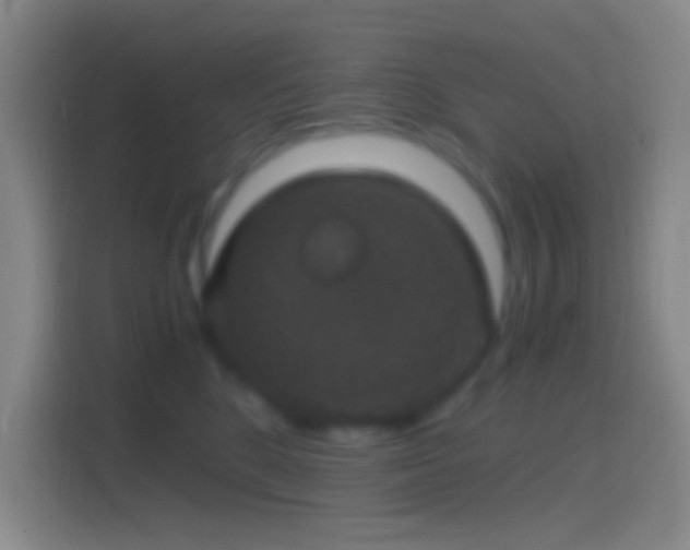 X0000114390520200910231019