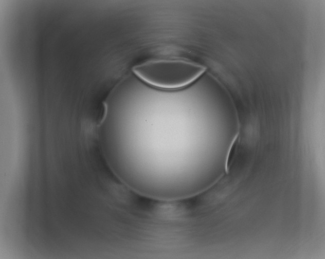 X0000114390521200910231019