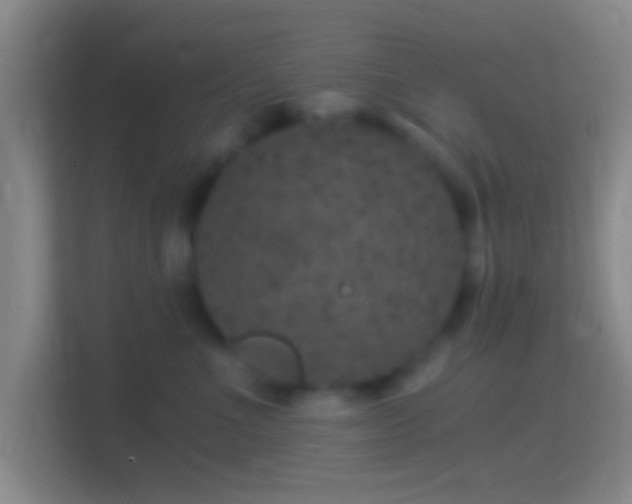 X0000114390523200910231019