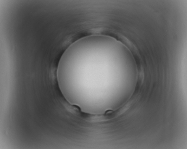 X0000114390525200910231019