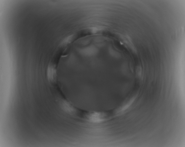 X0000114390527200910231019