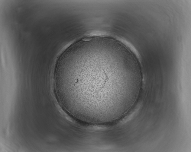 X0000114390529200910231018