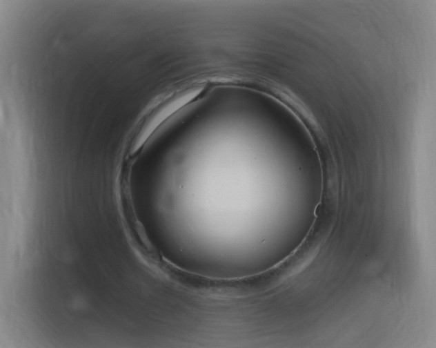X0000114390530200910231018