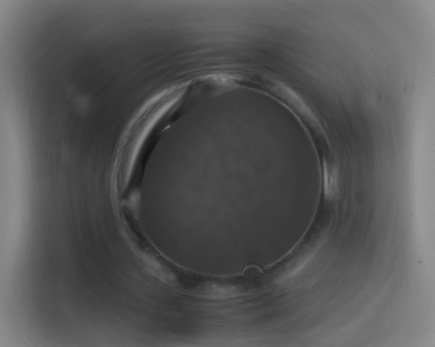 X0000114390531200910231018