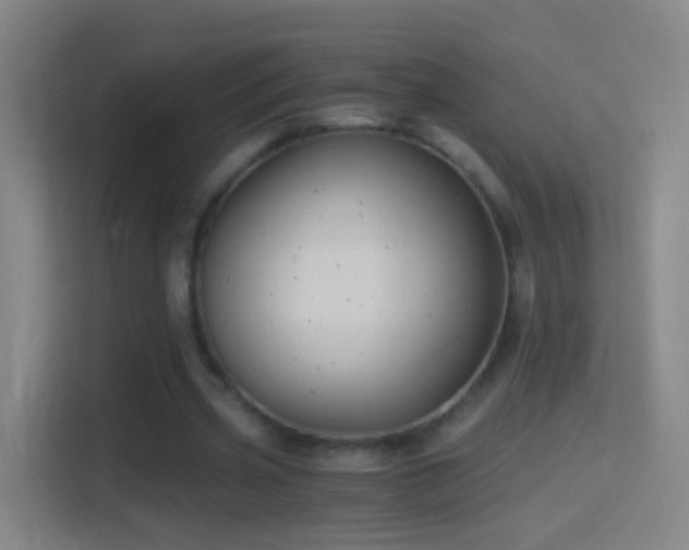 X0000114390533200910231018