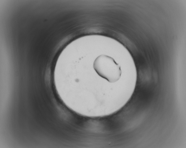 X0000114390534200910231018