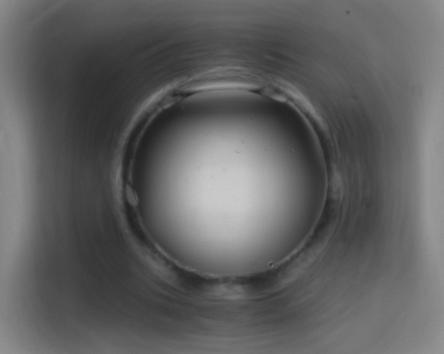 X0000114390535200910231018