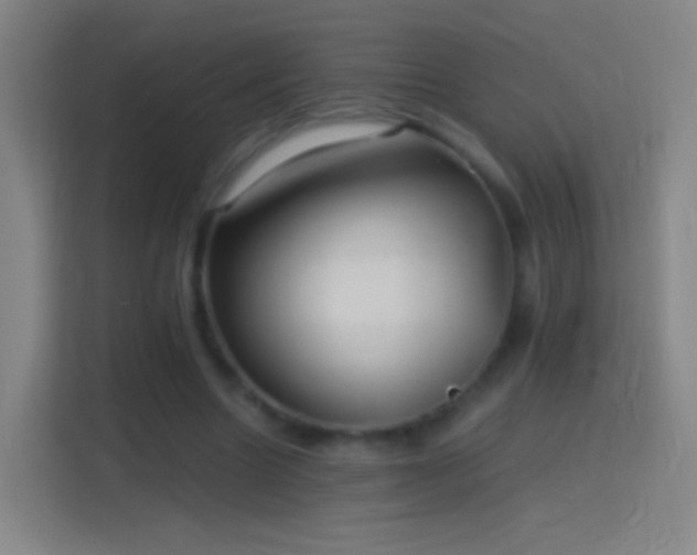 X0000114390538200910231018